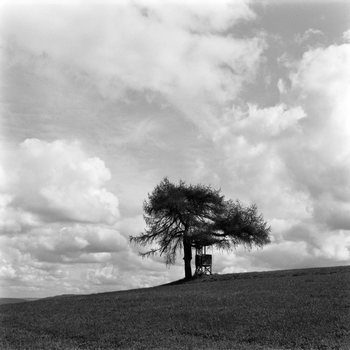 Failures and thinking about square photography