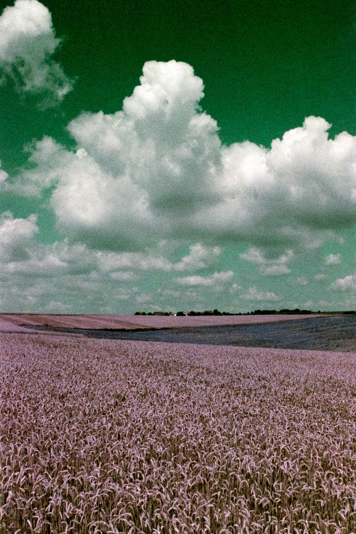 October 2024 – Purple