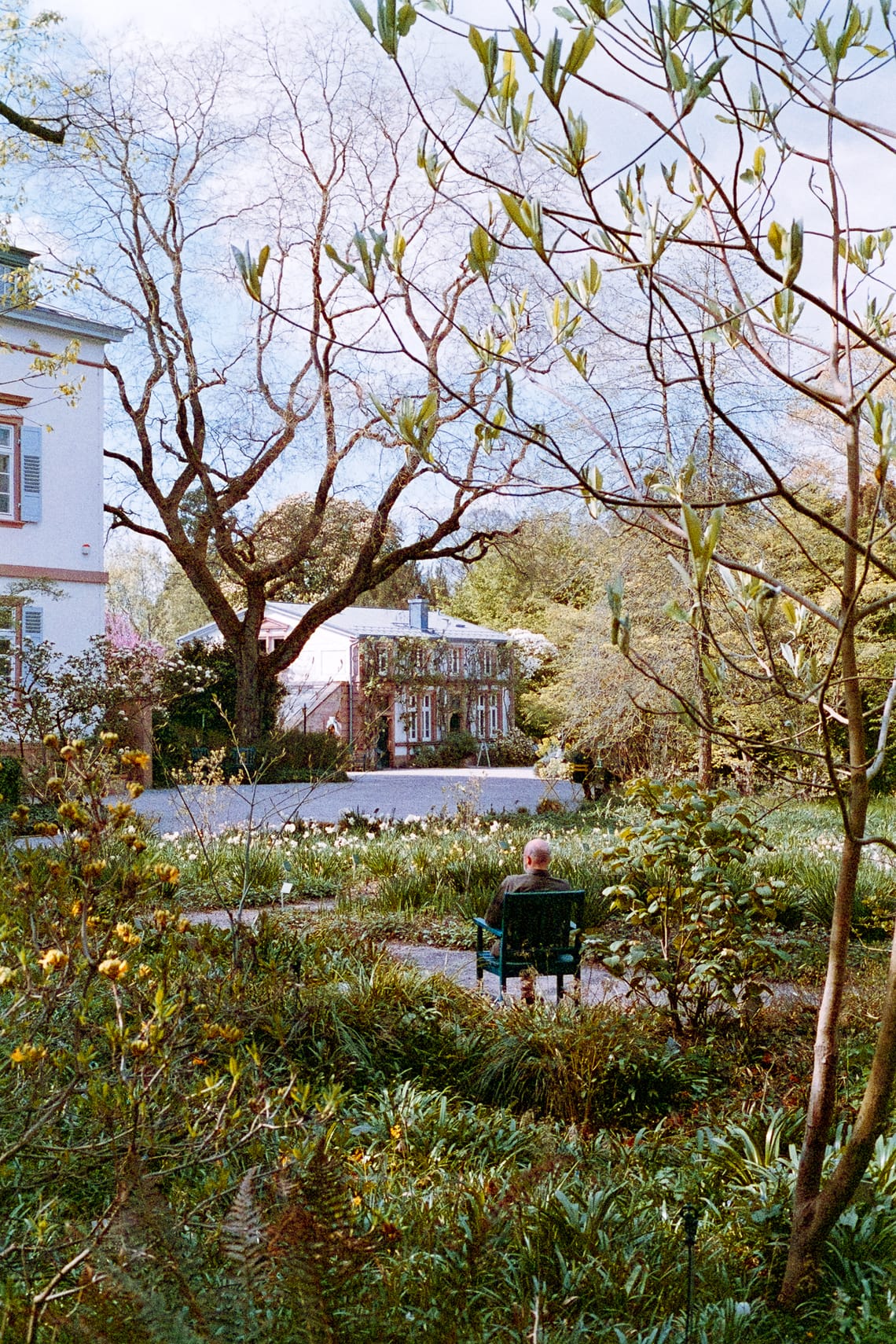 April 2025 – Garden (I)
