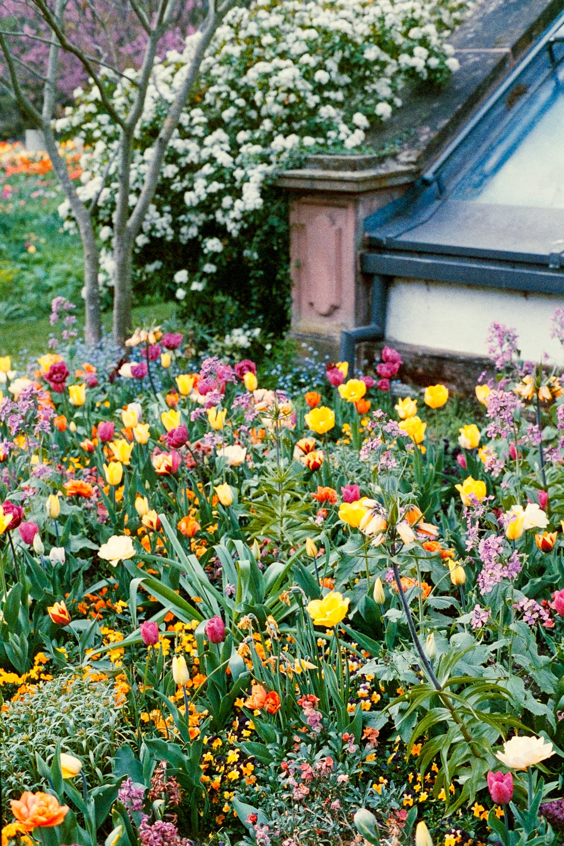 April 2025 – Garden (III)