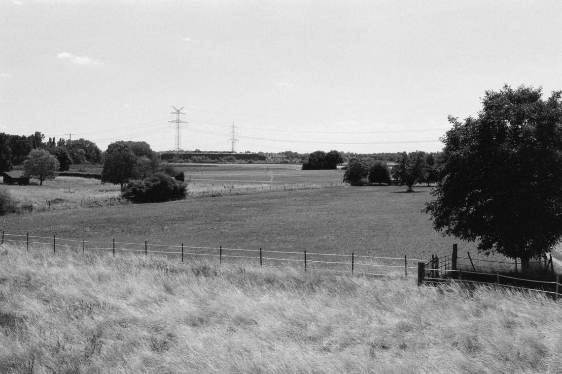 August 2025 – Fields