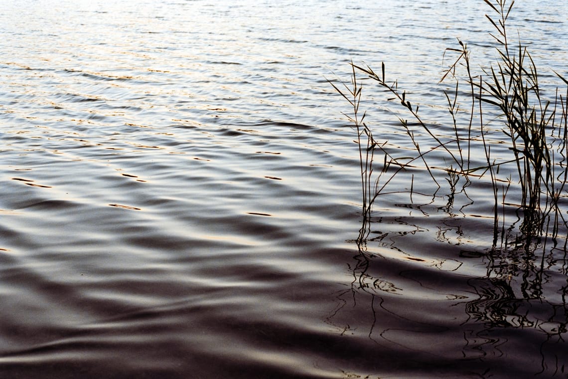 August 2025 – Waves