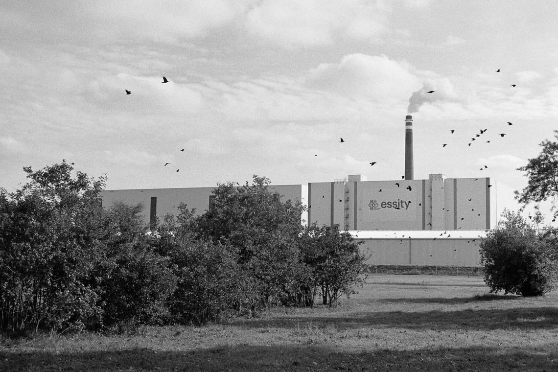 October 2025 – Crows