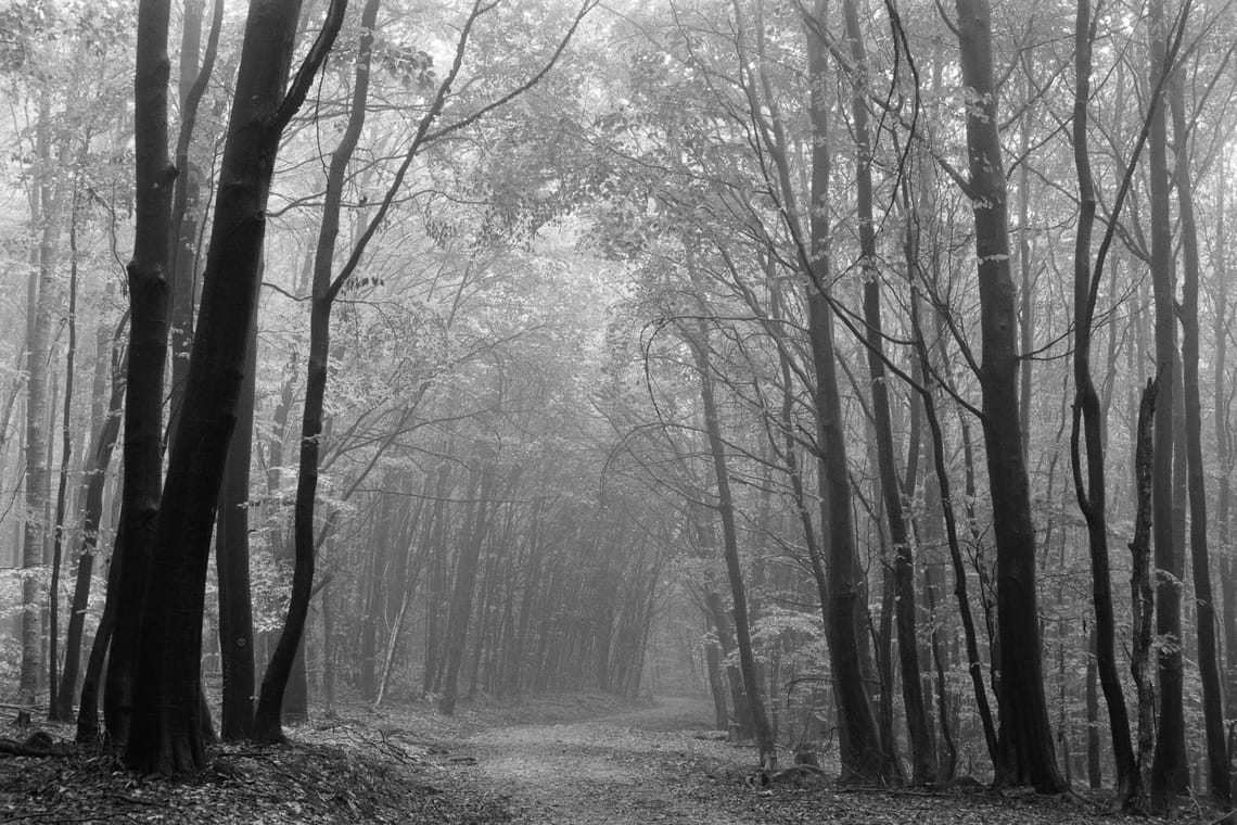 October 2025 – Fog