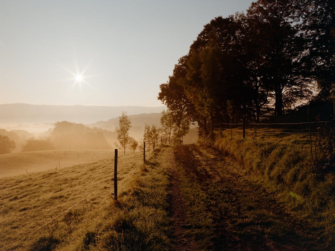 October 2025 – Morning (III)