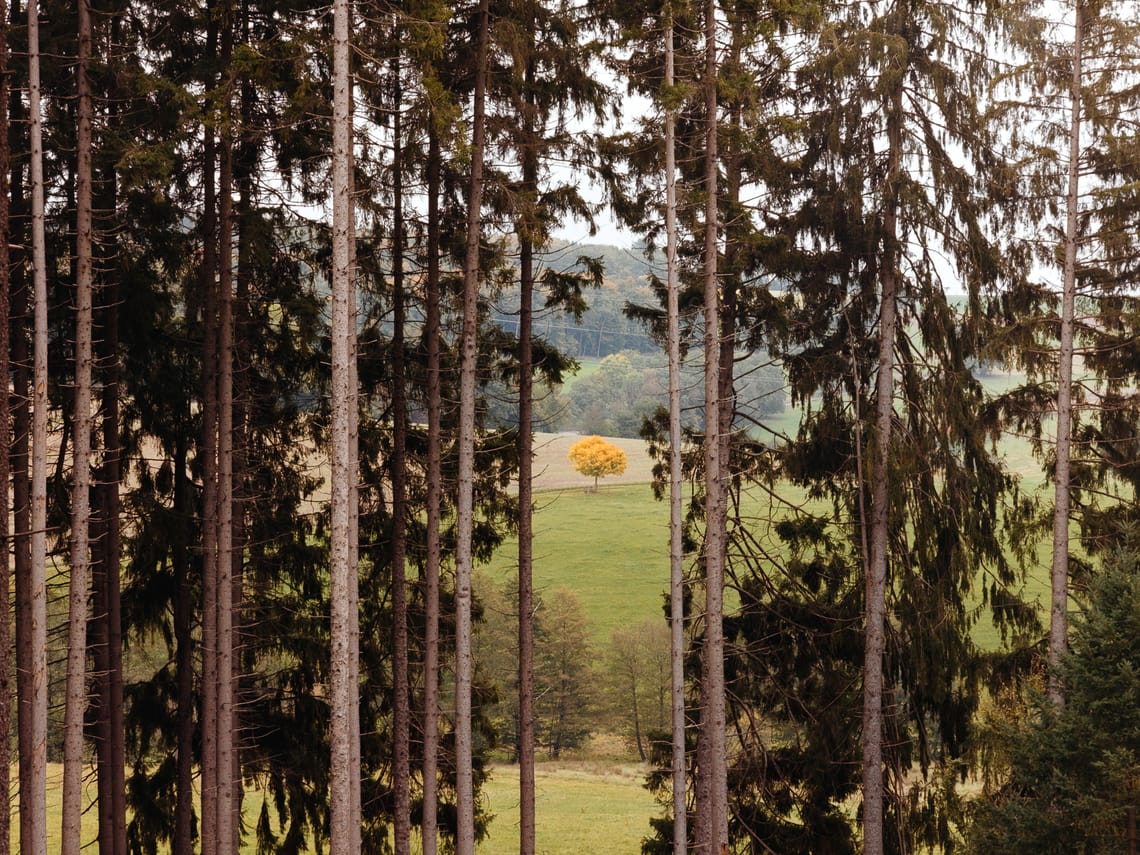 October 2025 – Autumn