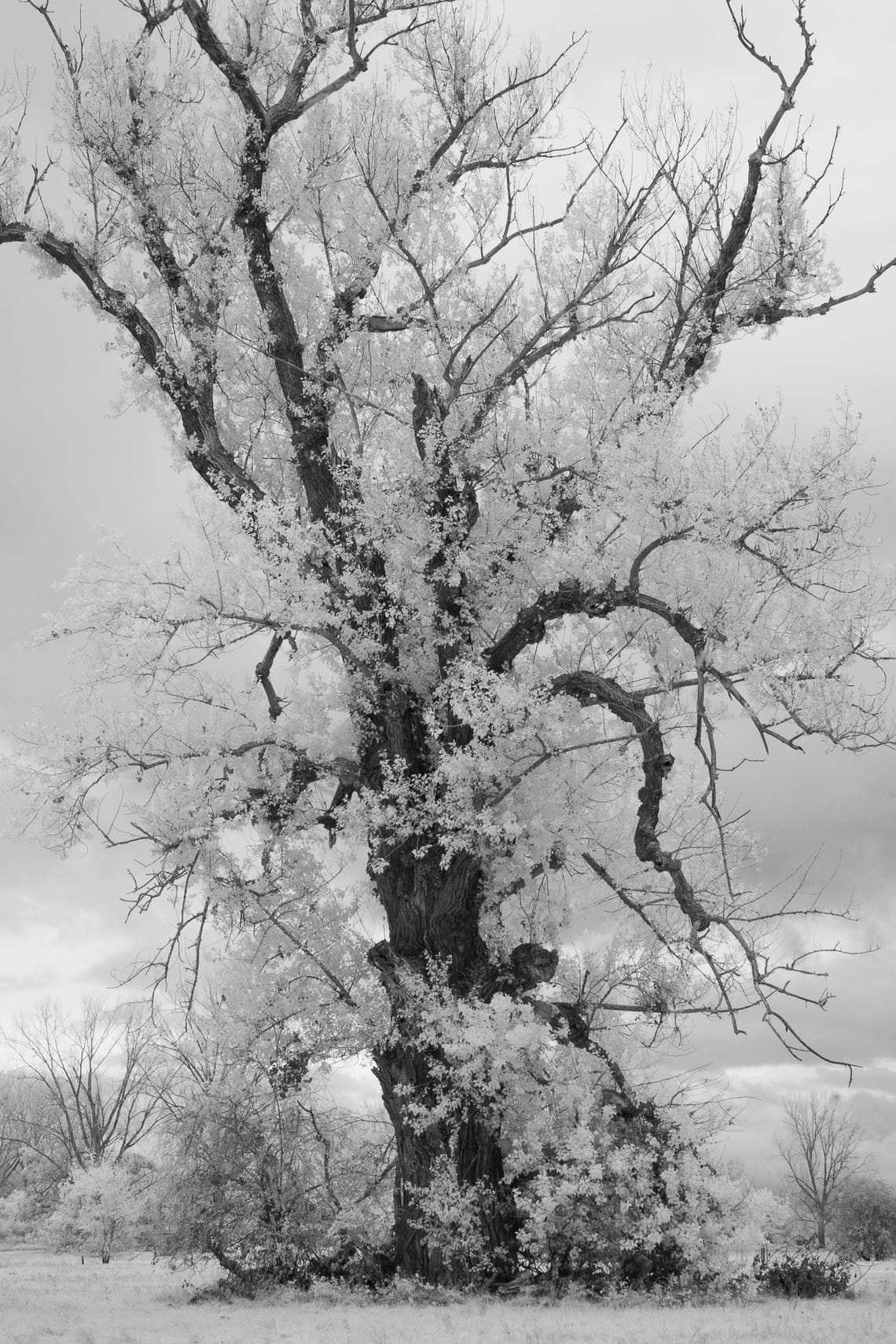 November 2025 – Infrared (II)