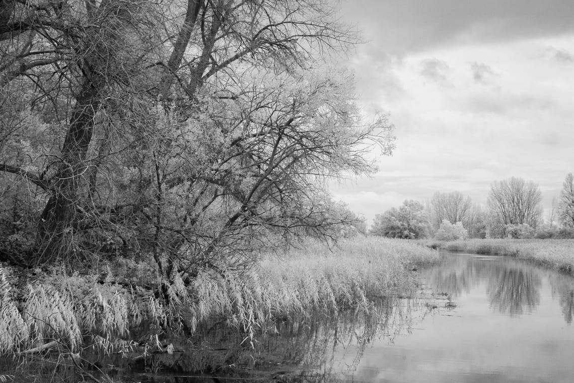 November 2025 – Infrared (I)