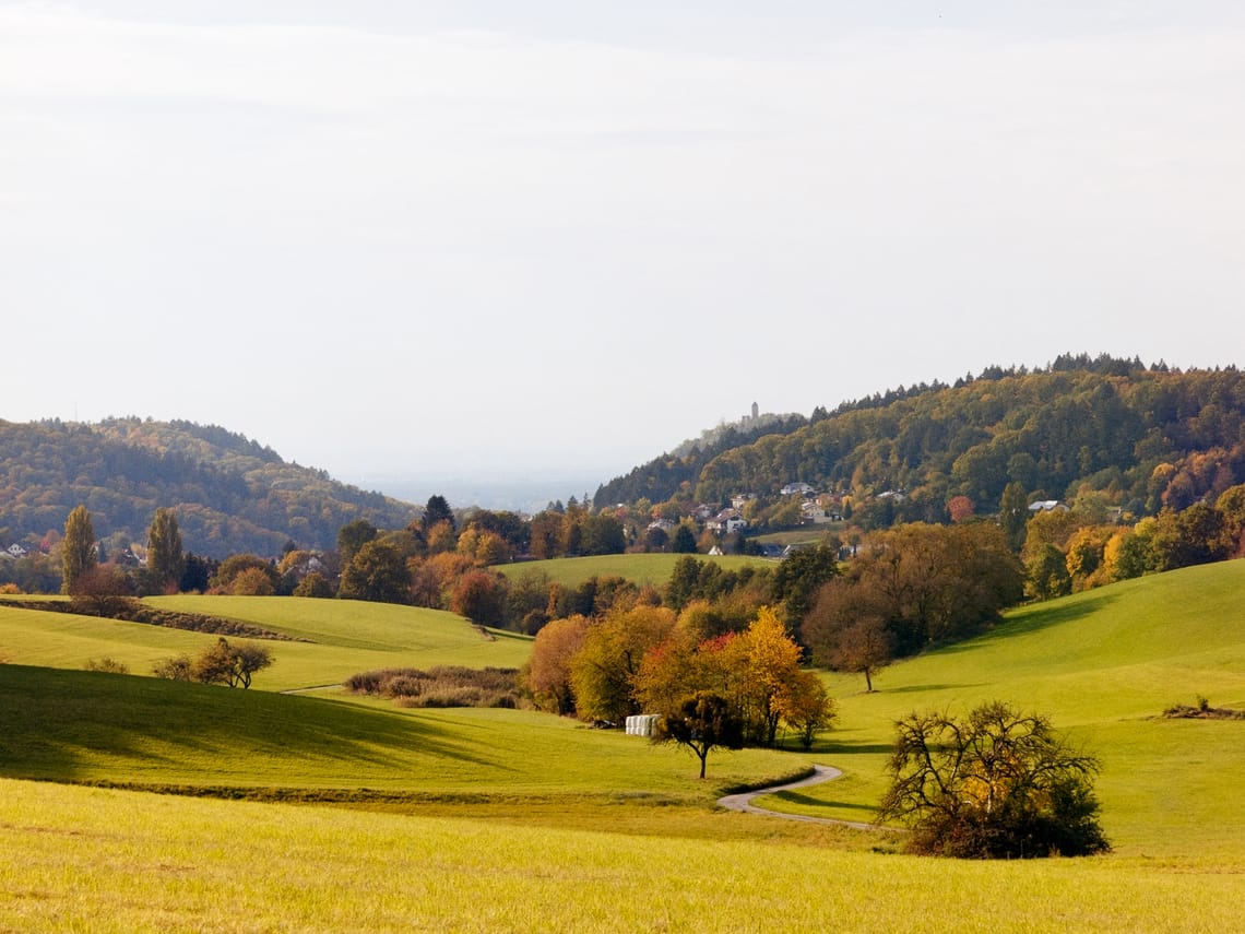 November 2025 – Valley
