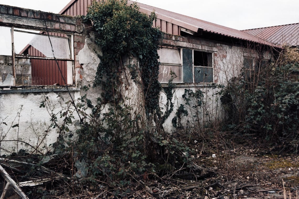 Overgrown