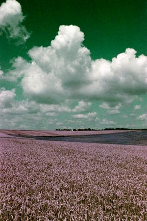 October 2024 – Purple