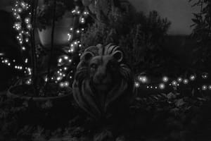 First impressions: Ilford Delta 3200 in 35mm