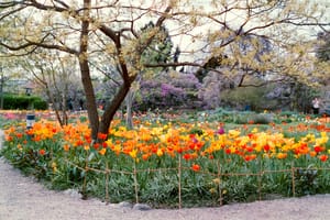 April 2025 – Garden (II)
