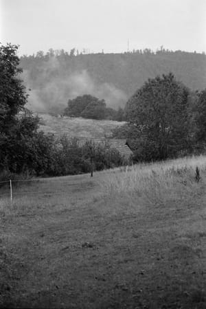 August 2025 – Farm