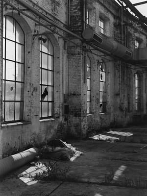August 2025 – Lost (II)