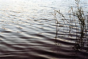 August 2025 – Waves