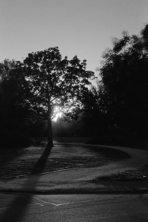 October 2025 – Escaping light