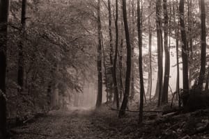 October 2025 – Mist