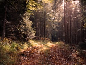October 2025 – Breakthrough