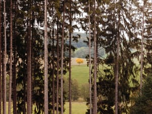 October 2025 – Autumn