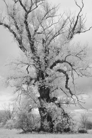 November 2025 – Infrared (II)