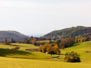 November 2025 – Valley